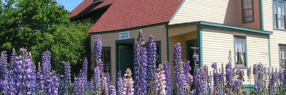 The Trinity Crafts shop, a yellow clapboard building with a red roof and a white Trinity Crafts sign by the door, behind a row of lupins
